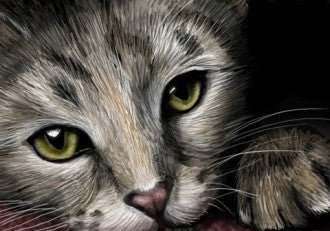 Diamond painting Cats Eyes AZ - 1184 Size: 50х35 - Hobby.lt 🇬🇧