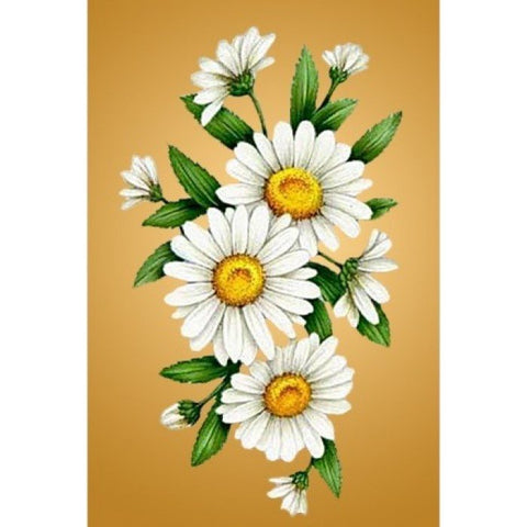 Diamond painting Chamomiles AZ - 1251 Size: 20х30 - Hobby.lt 🇬🇧