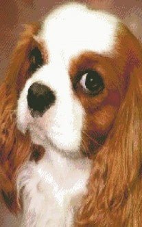 Diamond painting Cute Eye Sight AZ - 372 Size: 40x50 - Hobby.lt 🇬🇧
