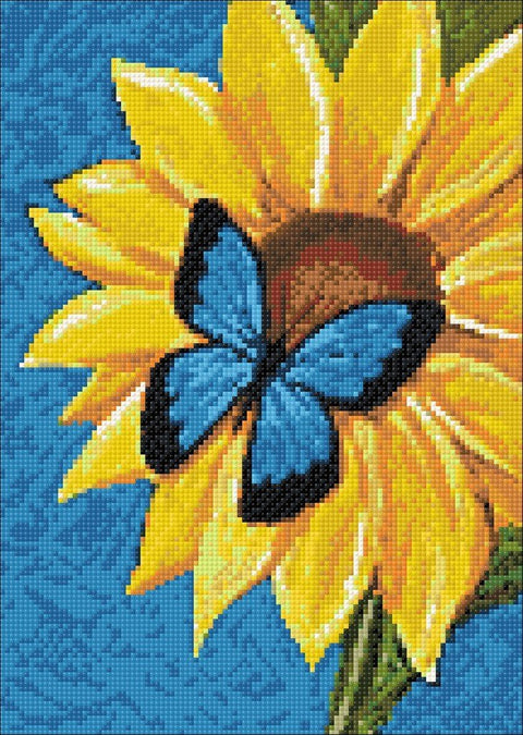 Diamond painting kit Butterfly and Sunflower WD031 - Hobby.lt 🇬🇧