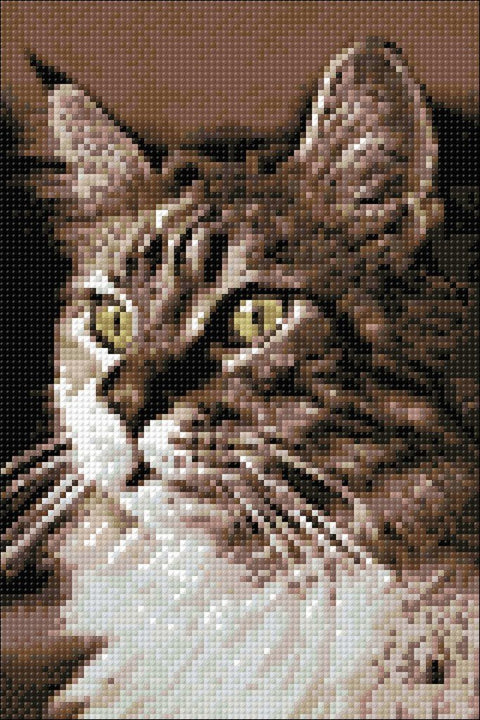 Diamond painting kit Cat at Home WD212 - Hobby.lt 🇬🇧