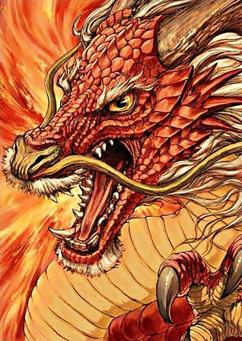 Diamond painting kit Chinese Dragon WD177 - Hobby.lt 🇬🇧