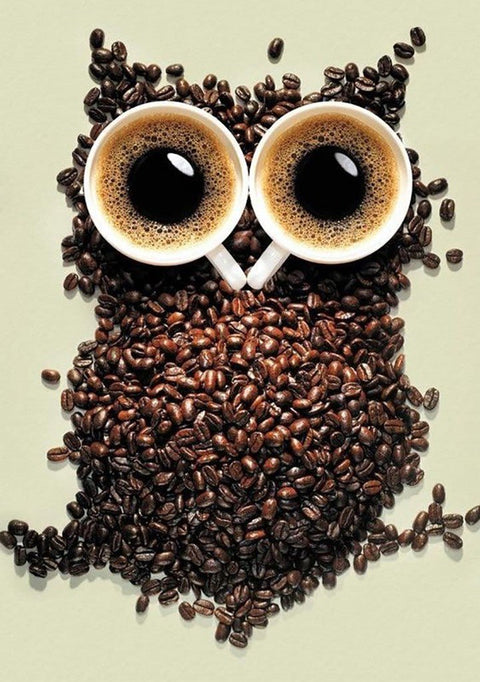 Diamond painting kit Coffee Owl WD242 - Hobby.lt 🇬🇧