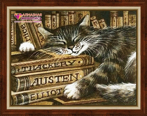 Diamond painting Librarian Cat AZ - 1516 Size: 40х30 - Hobby.lt 🇬🇧