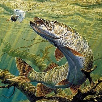 Diamond painting Pike AZ - 1141 Size: 50х50 - Hobby.lt 🇬🇧