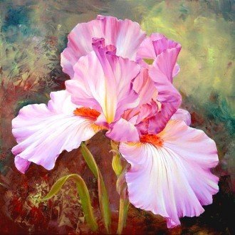 Diamond painting Pink Irises AZ - 1125 Size: 40х40 - Hobby.lt 🇬🇧