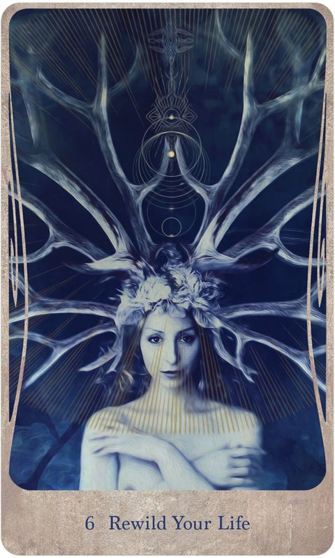 Divine Nature Oracle Cards and Book set US Games Systems