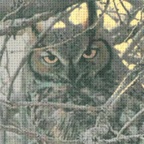 Eagle Owl - Cross Stitch Kit from RIOLIS Ref. no.:0038 PT - Hobby.lt 🇬🇧