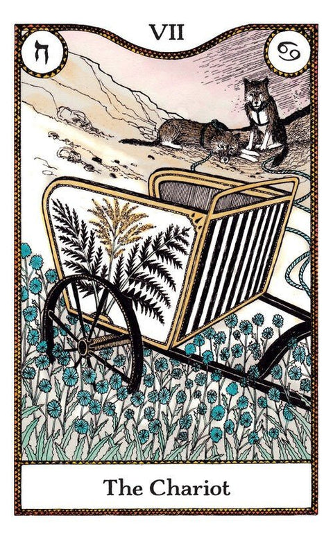 Elemental Power Tarot Cards Cico Books - Hobby.lt 🇬🇧