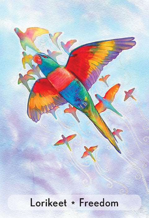 Enchanted Animal Oracle Cards Animal Dreaming - Hobby.lt 🇬🇧
