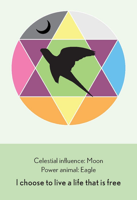Enchanted Animal Oracle Cards Animal Dreaming - Hobby.lt 🇬🇧
