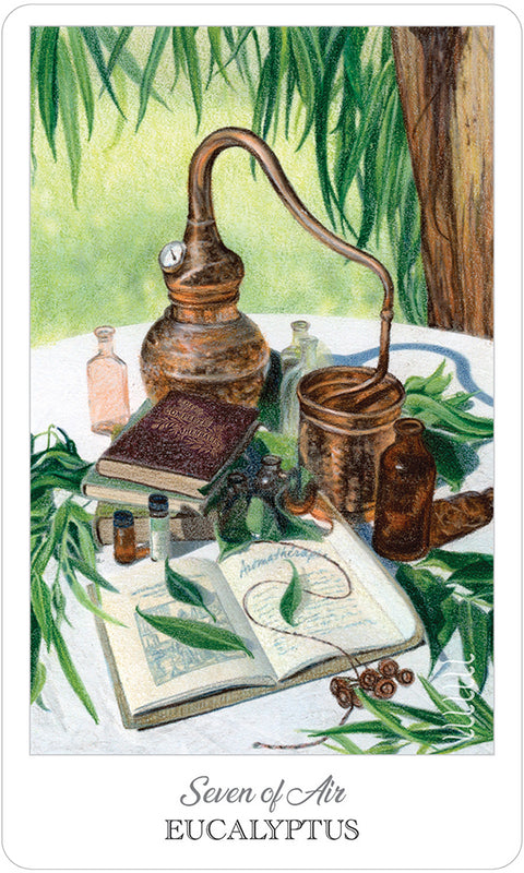 Herbcrafters Tarot cards US Games Systems