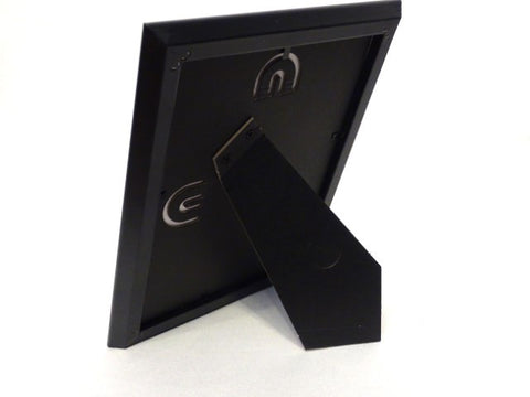 Jimmy Page double neck mini guitar in a frame FMG-011