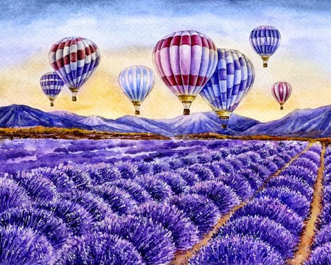 Lavender Daylight 50х40 Diamond Painting Set Cs2586