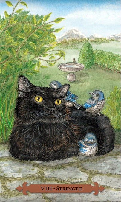 Magical Cats Tarot cards Llewellyn