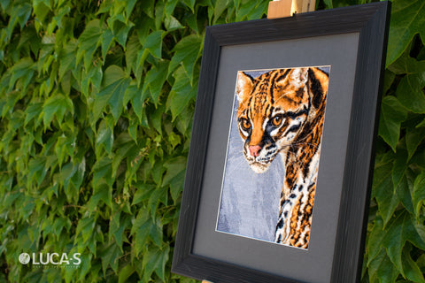 Ocelot SBU4007 - Cross Stitch Kit
