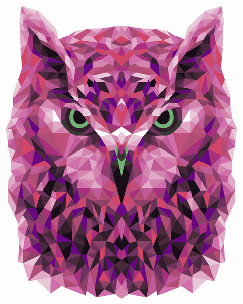 Paint by number kit: P002 Owl (polygon style) 40*50