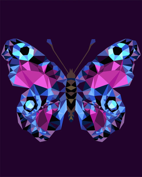 Paint by number kit: P003 Butterfly (polygon style) 40*50