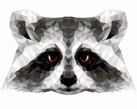 Paint by number kit: P006 Raccoon (polygon style) 40*50