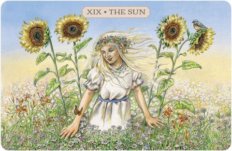 Pastoral Tarot Cards and Book set US Games Systems