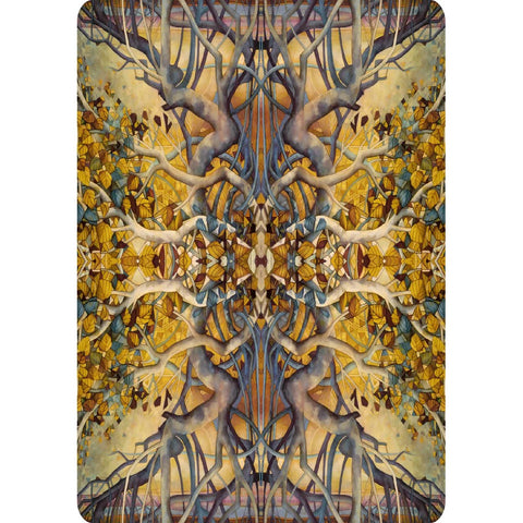 Portraits of a Woman Aspects of a Goddess inspirational cards Lo Scarabeo