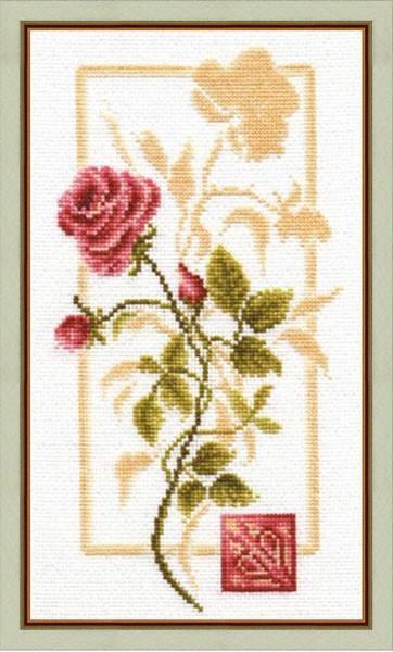 Rose Reflection S/BR005