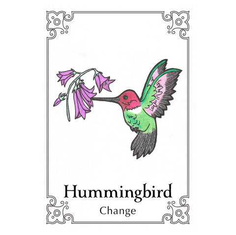 Sacred Bird Oracle Cards Animal Dreaming