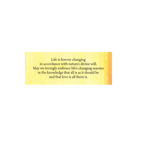 Soul Mate Oracle cards Blue Angel
