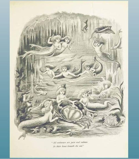 The Mermaid s Mirror Journal Blue Angel