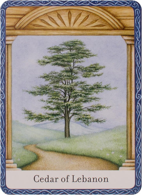 The Wisdom Of Trees Oracle Cards Watkins Publishing