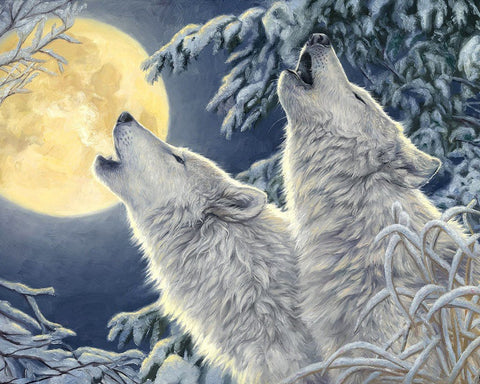 2 Wolves Diamond Painting Set CS2565 - Hobby.lt 🇬🇧