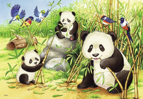 2X24 Puzzles: Sweet Koalas and Pandas - Hobby.lt 🇬🇧