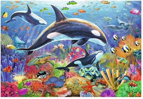 2X24 Puzzles: Underwater Beauty