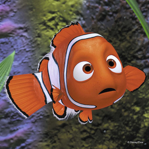 3x49 Puzzle Disney Finding Nemo In the Aquarium - Hobby.lt 🇬🇧