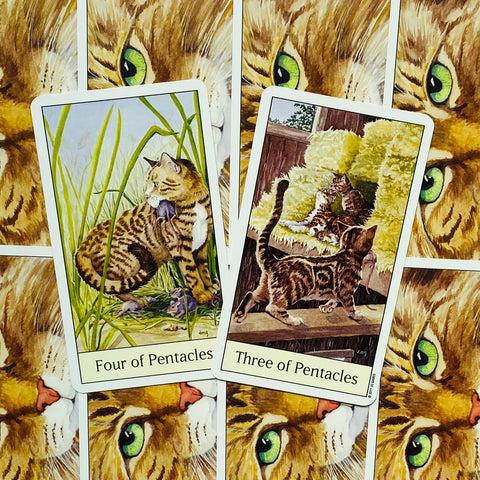 Cats Eye Tarot cards US Games Systems