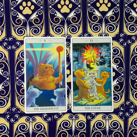 The Way Jodorowsky Explained Tarot To His Cat Cards Lo Scarabeo