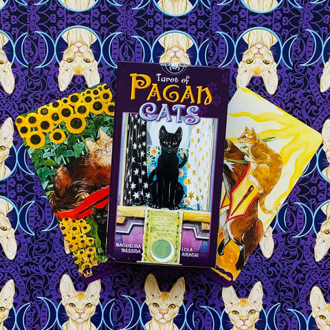Tarot Of Pagan Cats cards Lo Scarabeo