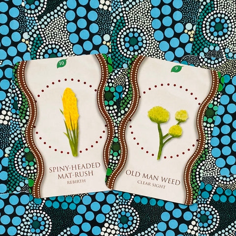 Aboriginal Healing Oracle Cards Rockpool