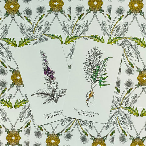Hedgewitch Botanical Oracle cards Llewellyn