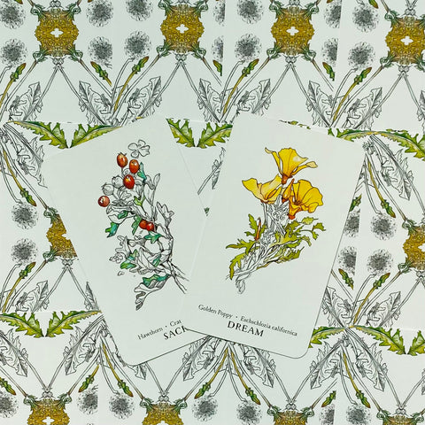 Hedgewitch Botanical Oracle cards Llewellyn