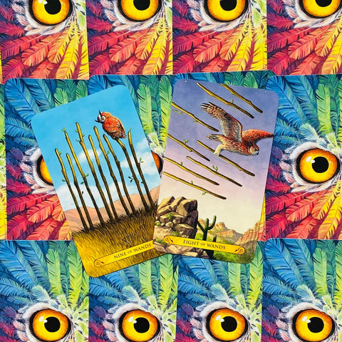 Tarot of the Owl Llewellyn