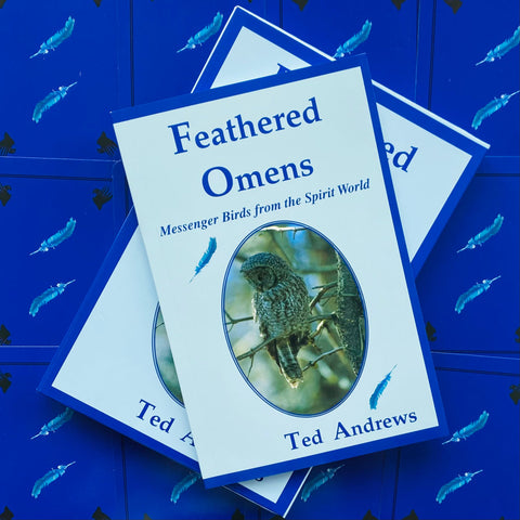 Feathered Omens Spiritual Cards Dragonhawk Publishing