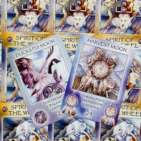 Spirit Of The Wheel Meditation cards US Games Systems