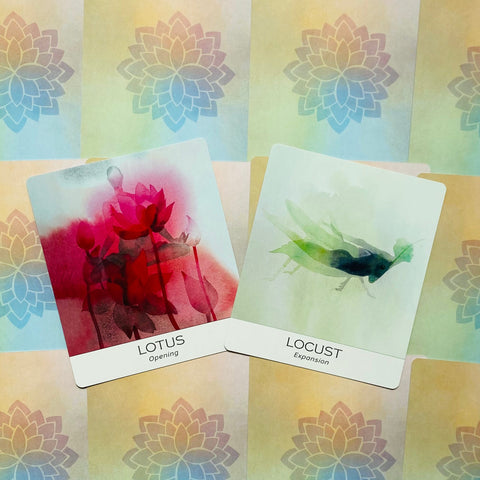 Nature and Soul Yoga Wisdom cards US Games Systems