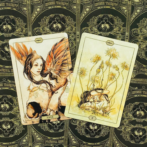 Hush Tarot cards US Games Systems