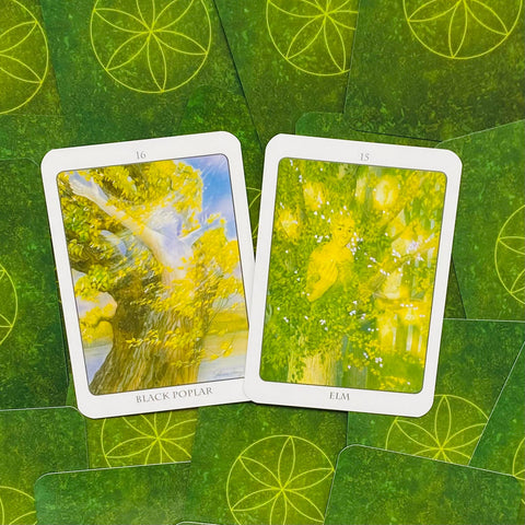 The Tree Angel Oracle Cards And Book Set Earth Dancer