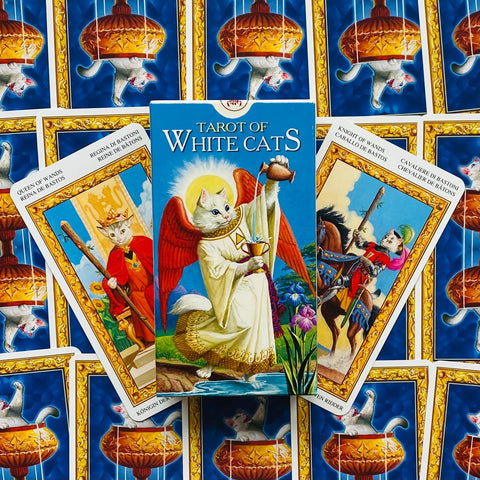 Tarot Of White Cats cards deck Lo Scarabeo