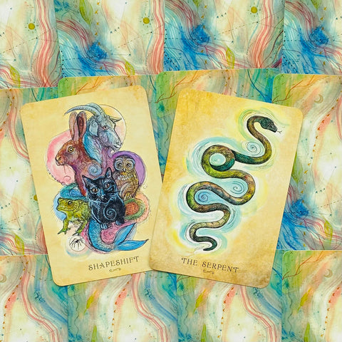 Anatomy Of A Witch Oracle Cards Llewellyn