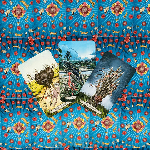 Animal Totem Tarot Cards Llewellyn