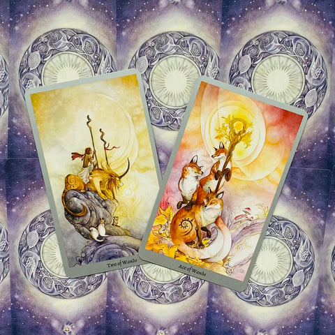 Shadowscapes Tarot Cards Llewellyn